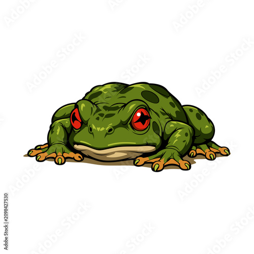 Frog Illustration design templates simple and modern
