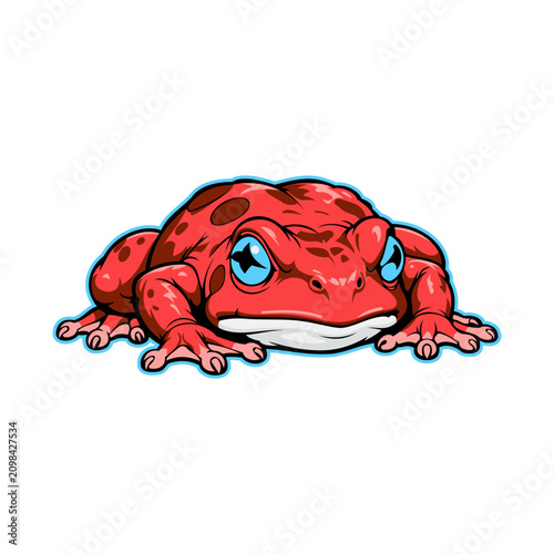 Frog Illustration design templates simple and modern