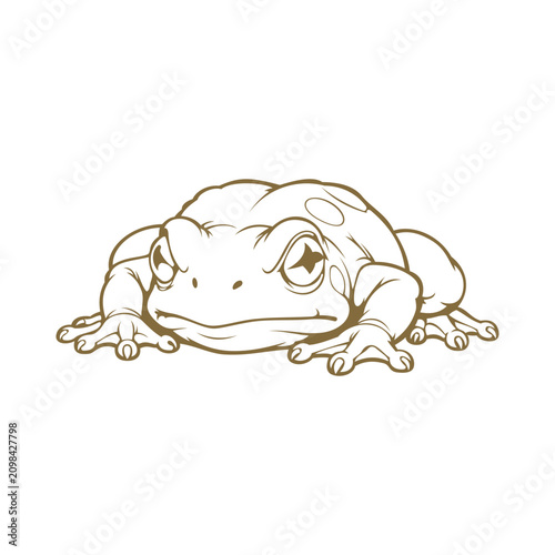 Frog Illustration design templates simple and modern