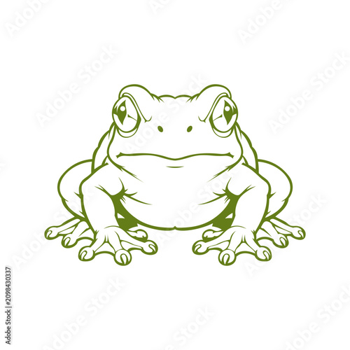 Frog Illustration design templates simple and modern