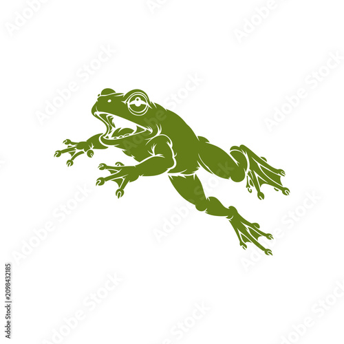 Frog Illustration design templates simple and modern