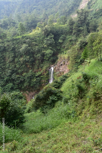 The beauty and romance of the Muncar Waterfall and the river in Petungkriyono, Pekalongan, Indonesia. The atmosphere at this waterfall is wonderfully cool.
