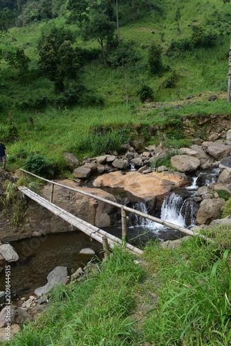 The beauty and romance of the Muncar Waterfall and the river in Petungkriyono, Pekalongan, Indonesia. The atmosphere at this waterfall is wonderfully cool.
