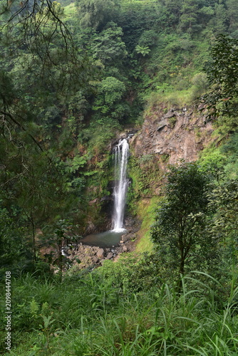 The beauty and romance of the Muncar Waterfall and the river in Petungkriyono, Pekalongan, Indonesia. The atmosphere at this waterfall is wonderfully cool.
