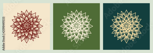 Vintage Botanical Flower Illustrations in Retro Color Tones