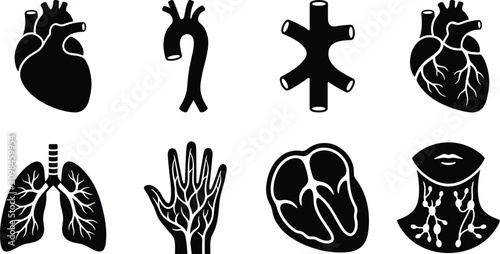 Fotografía Vector set of black silhouettes representing human heart, lungs, circulatory org