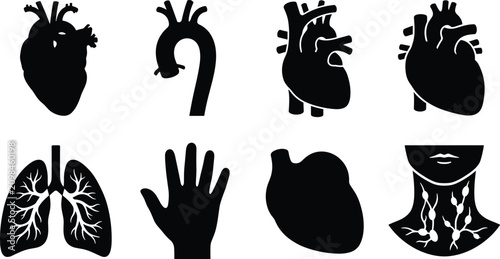 Photos Vector set of black silhouettes representing human heart, lungs, circulatory org