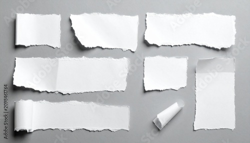 Torn paper pieces with jagged curled edges