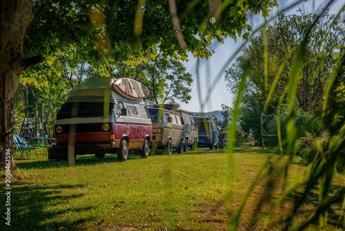 A line of vintage camper vans is parked on a lush green lawn at a sunny campsite by the Kolpa River. Shaded by large leafy trees and framed by grass in foreground, the scene captures a road trip vibe.