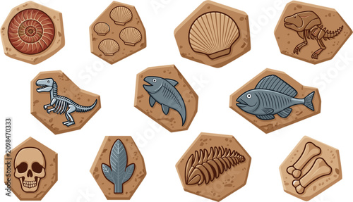 Photos Prehistoric dinosaur fossil vector set with flat design ammonite skeleton bones