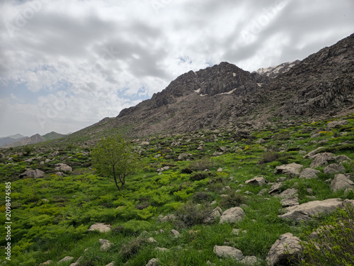 A lone tree stands on a lush green spring hillside beneath a rocky mountain peak dotted with snow patches under an overcast sky.
📍 Hawraman Takht, Kurdistan, Iran 
