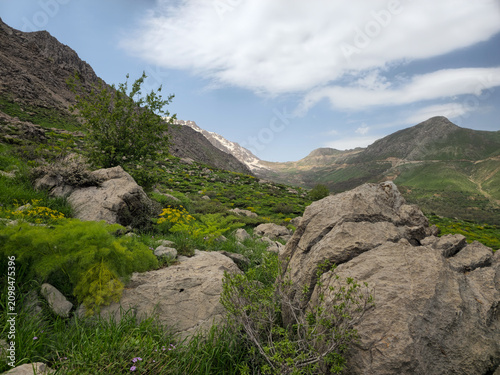 Large boulders rest on a spring hillside with wildflowers and a tree, overlooking a mountain valley with snow-capped peaks.
📍 Hawraman Takht, Kurdistan, Iran 