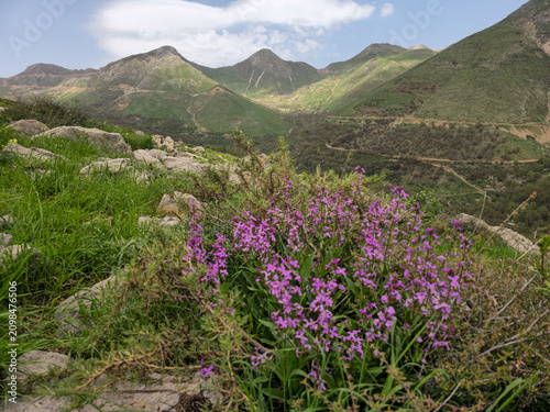 Purple wildflowers and rocks cover a grassy hillside trail beneath layered spring mountain peaks and green highlands beyond.
📍 Hawraman Takht, Kurdistan, Iran 