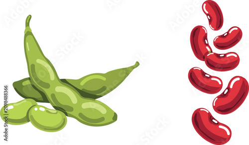 Bild auf Leinwand Organic Legume Vector Set Featuring Green Edamame Soy Pods and Falling Red Kidne