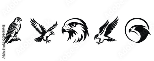 Set of falcon and hawk silhouettes in various poses for logo design