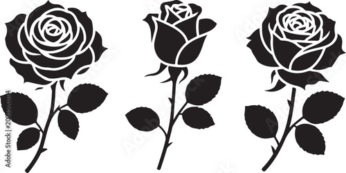 Black and white rose bouquet illustration