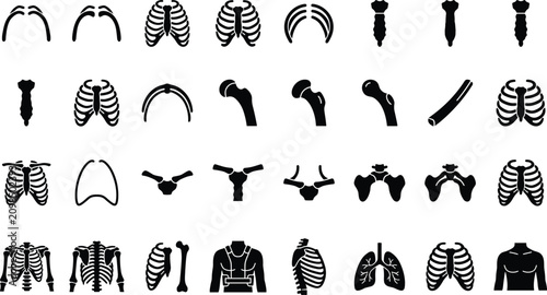 Bild auf Leinwand Set of human rib cage and bone icons, including thoracic cage, sternum, clavicle