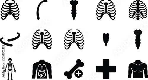 Foto Set of rib cage and human anatomy icons, including sternum, skeleton, lungs, and