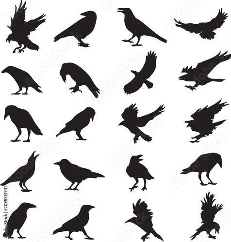 Set of Bird Silhouettes Vector Collection with Flying Eagle Dove Pigeon Sparrow Hawk and Wildlife Animal Icons for Nature Design and Illustration