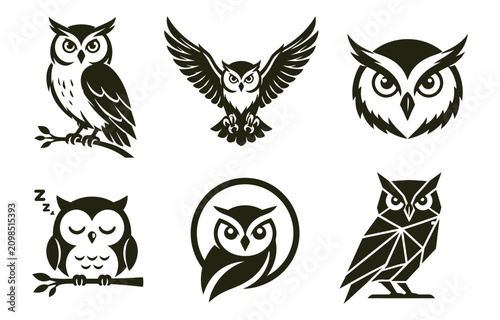 Set of owl bird vector icons and illustrations isolated on white background