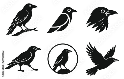 Set of crow and raven bird icons in black and white vector art for graphic design