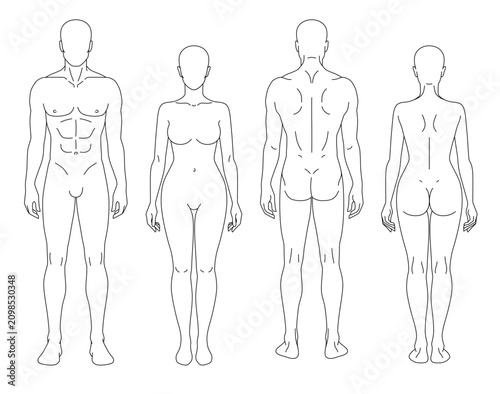 Quadro su tela Minimal vector set of male and female human body outlines shown in front and back views