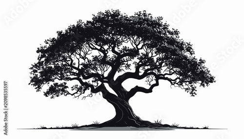 Foto Large Tree Silhouette with Branches.
