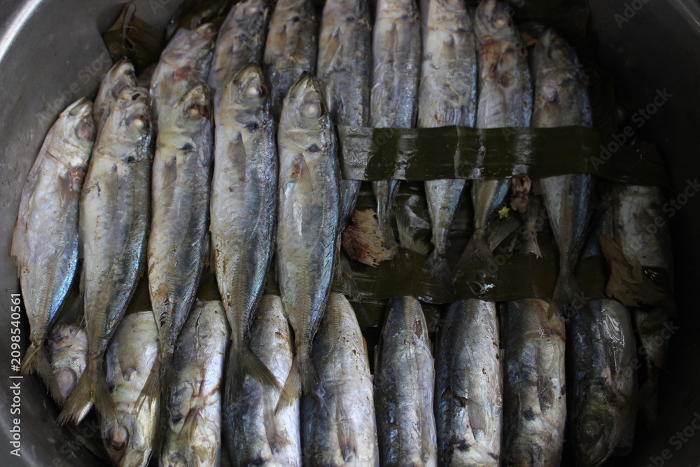 Obraz premium fresh fish in a market