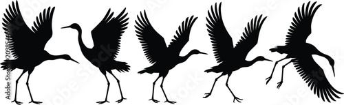 Photos Sandhill crane vector , elegant wading bird with long legs, extended neck and detailed profile for wildlife, nature and conservation designs