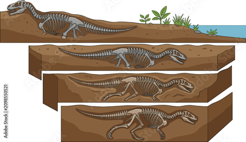 Canvastavla Dinosaur Fossilization Process Diagram Vector Illustration Showing Skeleton Bury