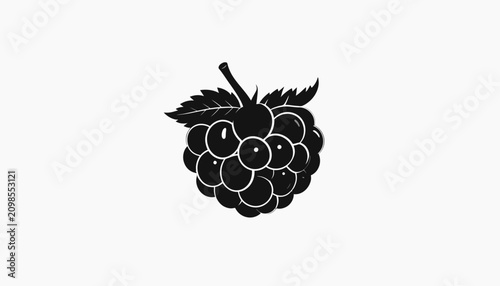 Konstfotografi Blackberry fruit illustration in black.