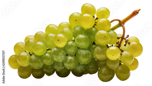 Obraz na plátně Fresh green grapes cluster with stem, isolated on transparent background