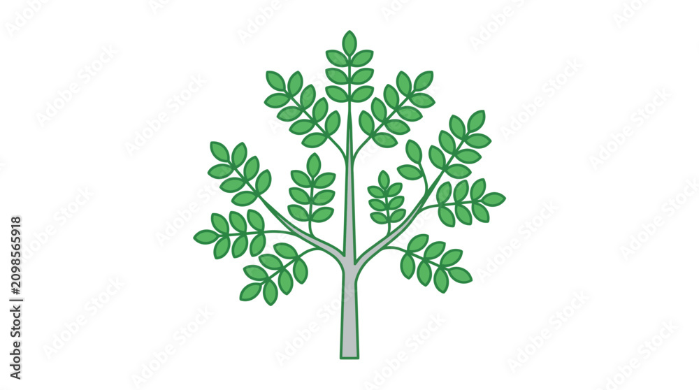 Fototapeta premium Simple green tree illustration with lush foliage on white background