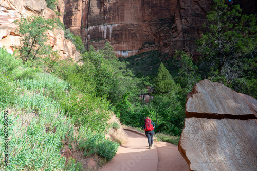 Scenic Sandstone Cliffs and Canyon Landscape in Zion National Park, Utah