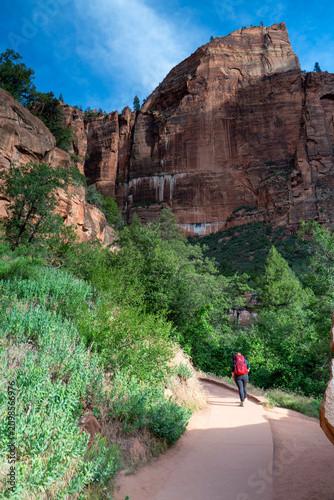 Scenic Sandstone Cliffs and Canyon Landscape in Zion National Park, Utah