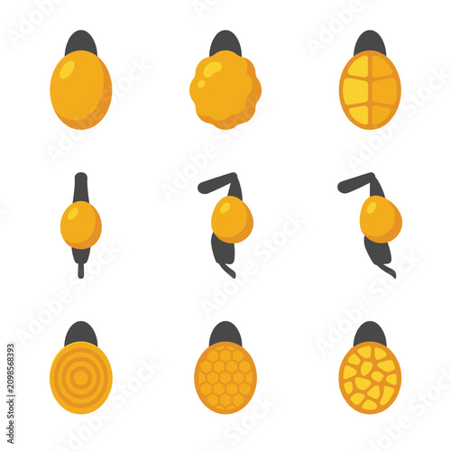 Collection of nine pixel art icons representing various stylized mango fruits and slices, isolated on a white background