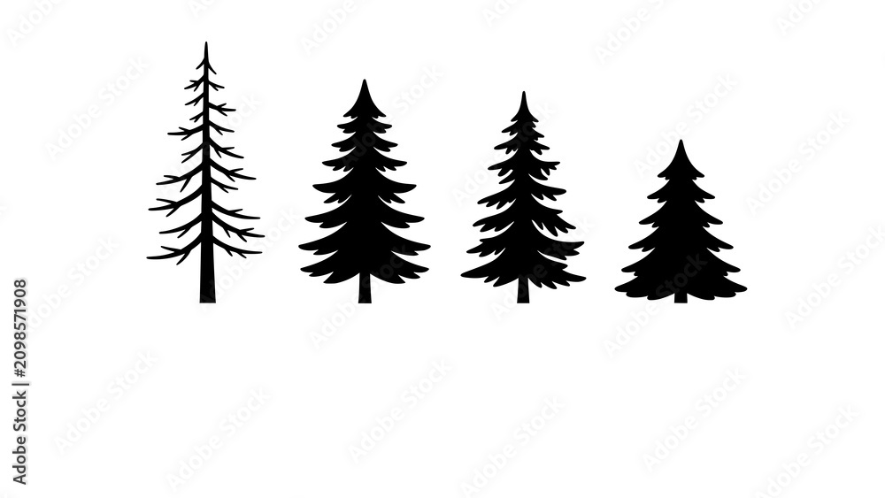 Fototapeta premium Set of four detailed coniferous tree silhouettes in black on white background