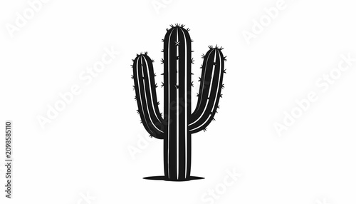 Billede på lærred Cactus plant with sharp spines.