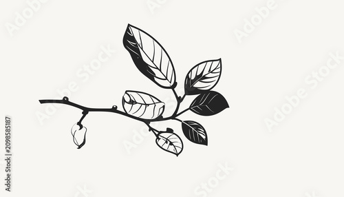 Black and white leafy tree branch.