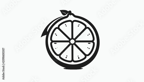 Citrus Fruit Slice Illustration.
