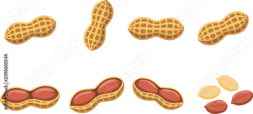 Organic Raw Peanut Vector Icon Set with Whole Textured Pods, Opened Shells, and Shelled Grains for Healthy Snack Packaging and Nut Butter Branding