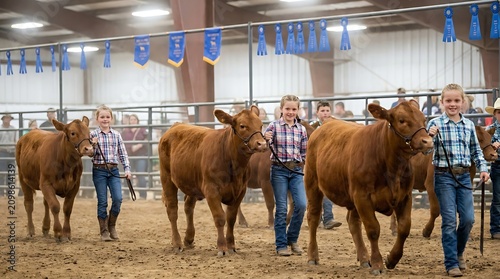 Children with cows at agricultural exhibition in livestock arena with blue ribbons and banners hanging above, showing animals competition.