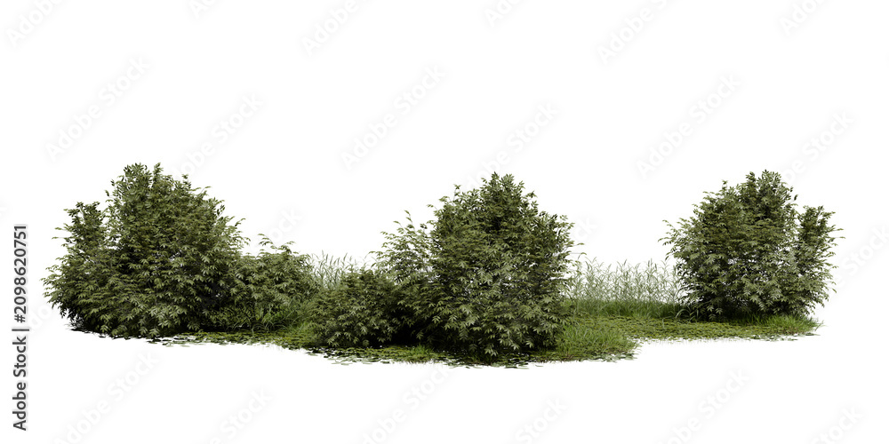Fototapeta premium Three groups of green bushes stand in a clear space. Grass covers the ground around them. Sunlight is shining on the scene, showing the shapes of the plants. 3d render