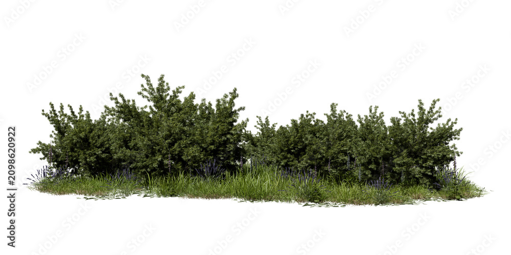 Fototapeta premium Cluster of green bushes surrounded by grass. Small flowers add color to the area. The plants are well-lit under daylight, showing their natural forms. 3d render