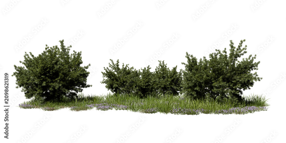 Naklejka premium Green bushes and grass grow next to each other in an outdoor setting. This scene shows a mix of plants and ground cover. The layout suggests possibilities for landscaping and gardening. 3d render