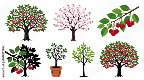 Foto Collection of Cherry Tree Vector Illustrations Featuring Fruiting Trees, Cherry