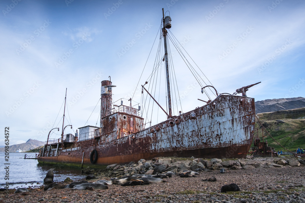Fototapeta premium Abandoned whaling ship at the Guridviken whaling station in the South Georgia Islands
