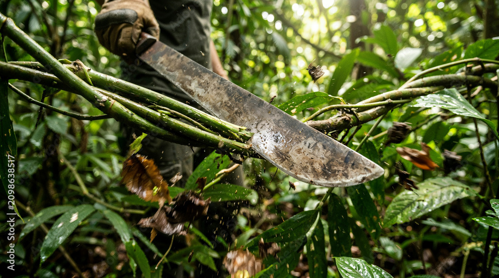 Fototapeta premium Person using machete to clear vegetation in lush green jungle 