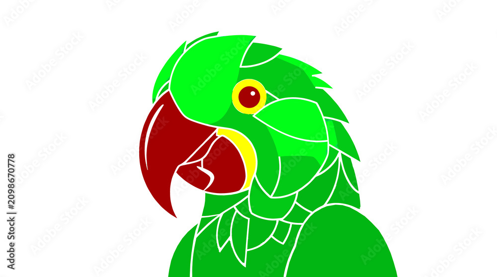 Obraz premium green and red parrot
