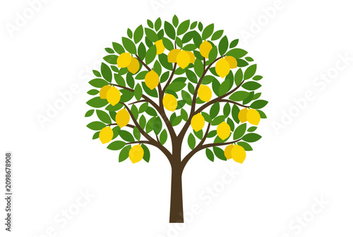 Photos Illustrated Lemon Tree with Yellow Fruit and Green Leaves